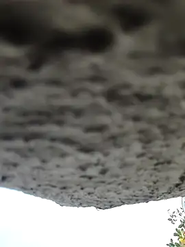 AnanyaKapoor89 online show from November 2025 02:43:02 AM