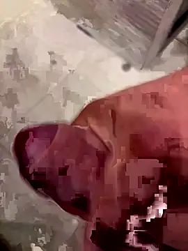 123plmnbvcxz online show from September 2025 08:13:02 PM