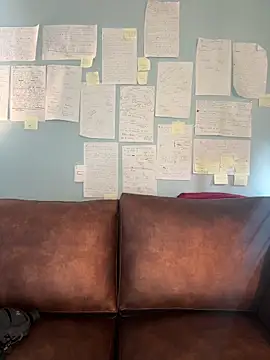 Canneela online show from March 2026 09:08:01 PM