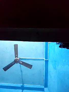 Snapshot of BlackCobraOwner chatting on November 2025 01:03:01 PM BlackCobraOwner online show from November 2025 01:03:01 PM