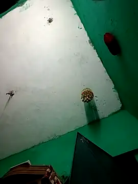 Snapshot of Sapna9685 chatting on November 2025 03:03:01 PM Sapna9685 online show from November 2025 03:03:01 PM