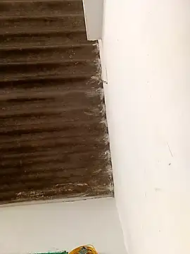 Snapshot of Sapna9685 chatting on November 2025 09:06:02 AM Sapna9685 online show from November 2025 09:06:02 AM