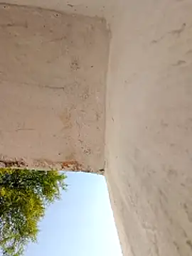 Snapshot of Sapna9685 chatting on December 2025 07:36:01 AM Sapna9685 online show from December 2025 07:36:01 AM