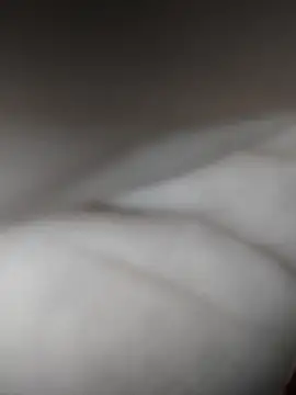 Morboseando online show from October 2025 01:50:02 AM