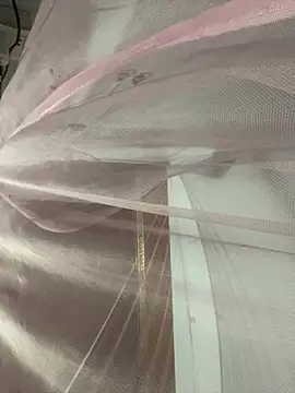 Pyy07 online show from March 2026 01:49:01 PM