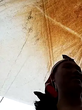 bing-bing88 online show from February 2026 03:25:02 AM