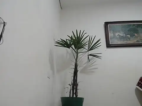 Snapshot of Young_handsome chatting on September 2025 01:28:02 AM Young handsome online show from September 2025 01:28:02 AM