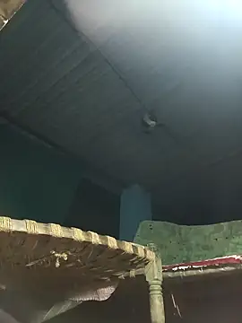 Hot-honi online show from November 2025 11:04:02 PM