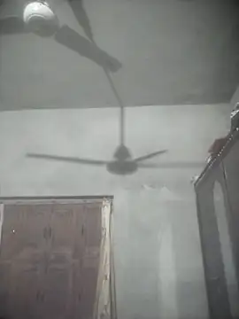 Snapshot of Manjit009 chatting on November 2025 04:29:01 PM Manjit009 online show from November 2025 04:29:01 PM