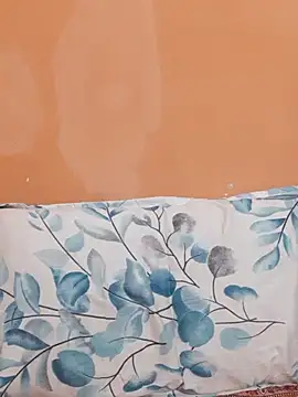 siya rani67 online show from April 2026 06:01:01 PM