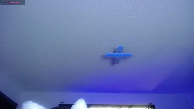  Charlotte Collins  online show from February 2026 02:35:01 PM