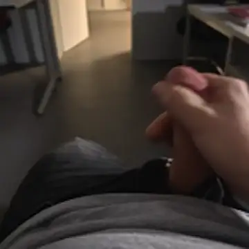 stunning stallion online show from November 2025 05:01:02 PM