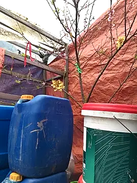 liu-liusexy online show from February 2026 07:51:01 AM