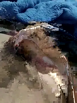 hdz3012 online show from November 2025 01:29:02 PM