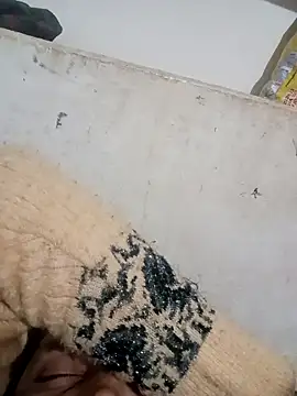 Payal950 online show from December 2025 03:43:01 PM