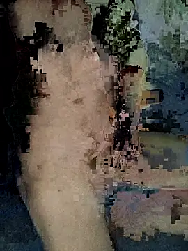 Snapshot of xxxxxcgbn chatting on February 2026 04:17:02 AM xxxxxcgbn online show from February 2026 04:17:02 AM