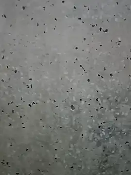 Mr xxx007xh online show from March 2026 01:18:02 AM