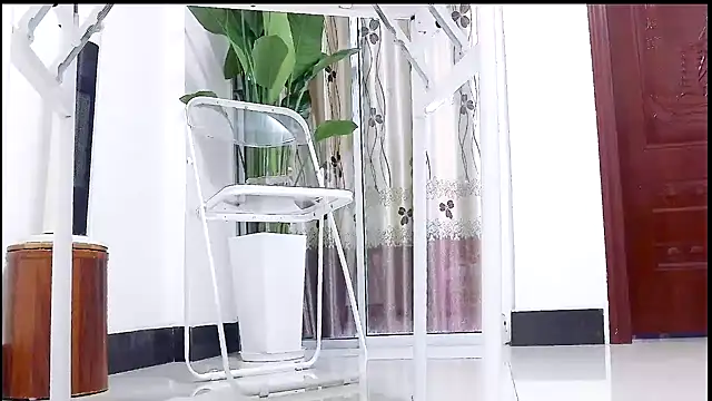 Tianxin6 online show from December 2025 03:34:01 AM