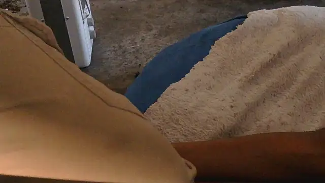 Gmajor online show from November 2025 11:05:01 PM