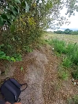 Snapshot of magraocam chatting on November 2025 04:08:02 PM magraocam online show from November 2025 04:08:02 PM