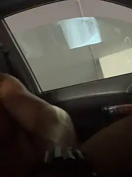 yurmechonline online show from September 2025 03:01:02 PM