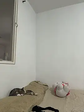 aliciia 23 online show from November 2025 08:11:02 PM