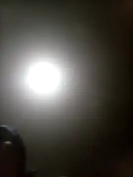 Snapshot of Bebicho14 chatting on March 2026 04:17:02 AM Bebicho14 online show from March 2026 04:17:02 AM