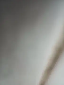 Snapshot of Jobson40 chatting on October 2025 12:11:02 AM Jobson40 online show from October 2025 12:11:02 AM