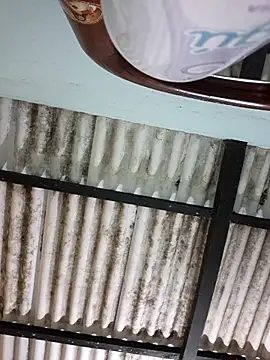 Lizth sex online show from September 2025 05:12:01 AM