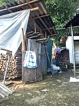 ALIENHR38 online show from October 2025 02:24:01 AM