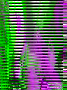 Snapshot of Savita_ji1 chatting on October 2025 03:24:01 PM Savita ji1 online show from October 2025 03:24:01 PM