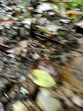 Snapshot of andymatthisbwc chatting on October 2025 03:43:01 PM andymatthisbwc online show from October 2025 03:43:01 PM