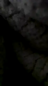 Snapshot of LanaAce719 chatting on October 2025 07:41:01 AM LanaAce719 online show from October 2025 07:41:01 AM