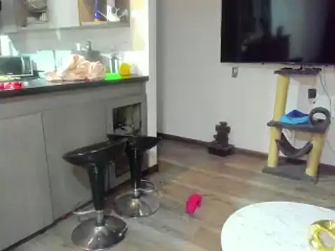 Snapshot of celeste_pervert chatting on February 2025 01:53:01 AM celeste pervert online show from February 2025 01:53:01 AM