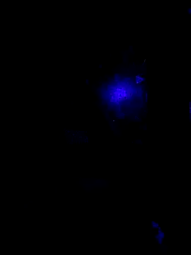 johnboones10 online show from October 2025 09:42:02 AM