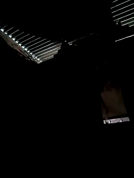 Gustavo1135e online show from October 2025 11:10:01 AM