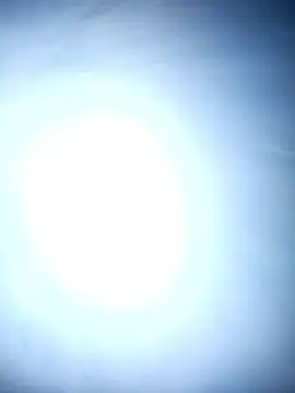 Snapshot of chinoaf chatting on December 2025 09:59:01 AM chinoaf online show from December 2025 09:59:01 AM