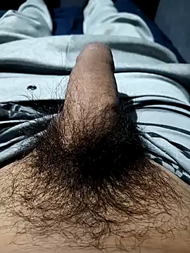 Aaia93 online show from November 2025 05:52:02 AM