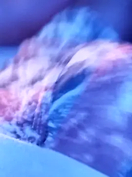 sertaonegro online show from November 2025 11:13:01 PM