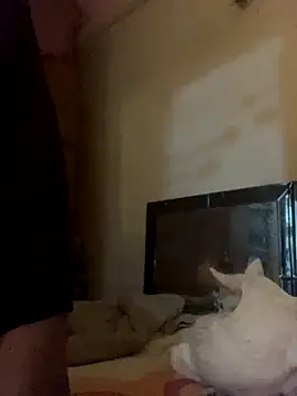 Kajal-Shemale69 online show from November 2025 07:36:02 AM