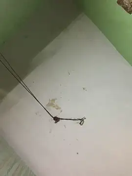 atulsaini560 online show from December 2025 07:37:01 AM