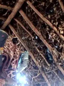 Snapshot of Hot_rachnasexy chatting on March 2026 05:55:01 AM Hot rachnasexy online show from March 2026 05:55:01 AM