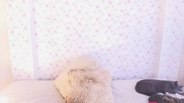 dahiana marin online show from February 2026 07:45:01 PM