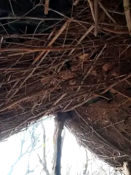 Janvi Jaitly online show from December 2025 01:25:01 AM