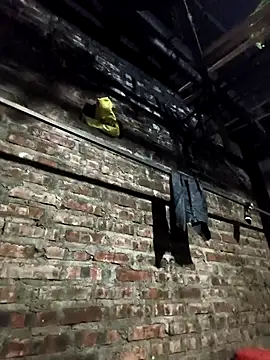 siki-00 online show from January 2026 12:00:01 PM