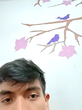 Snapshot of DavidVergagigante420 chatting on November 2025 03:01:01 AM DavidVergagigante420 online show from November 2025 03:01:01 AM