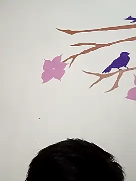 Snapshot of DavidVergagigante420 chatting on November 2025 05:50:02 AM DavidVergagigante420 online show from November 2025 05:50:02 AM