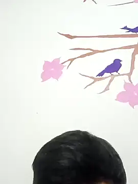 Snapshot of DavidVergagigante420 chatting on February 2026 04:05:02 AM DavidVergagigante420 online show from February 2026 04:05:02 AM