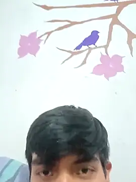 Snapshot of DavidVergagigante420 chatting on February 2026 09:41:01 PM DavidVergagigante420 online show from February 2026 09:41:01 PM