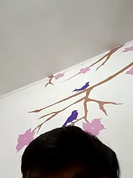 Snapshot of DavidVergagigante420 chatting on February 2026 07:07:01 AM DavidVergagigante420 online show from February 2026 07:07:01 AM